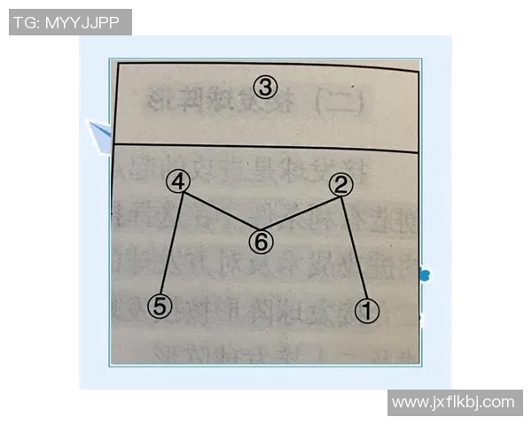 深圳排球队反击战术全解析深度剖析排球竞技中的策略与技巧